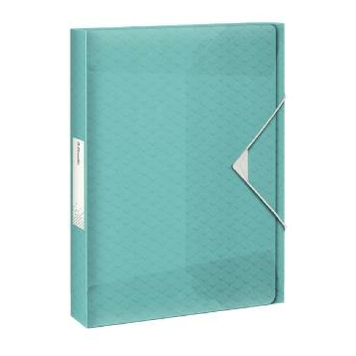 Folder Esselte Colour'ice A4 Blå (5 antal)-Kontor och Kontorsmaterial, Kontorsmaterial-Esselte-peaceofhome.se