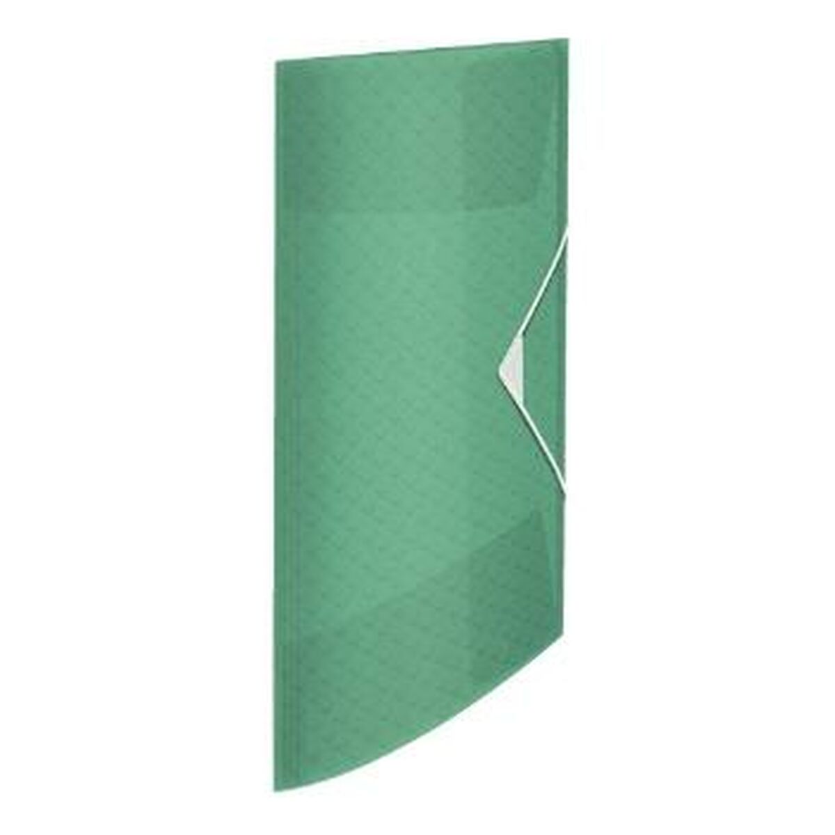Folder Esselte Colour'ice A4 Grön 4 Delar-Kontor och Kontorsmaterial, Kontorsmaterial-Esselte-peaceofhome.se