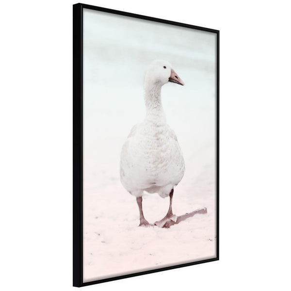 Inramad Poster / Tavla - Walking Goose-Poster Inramad-Artgeist-20x30-Svart ram-peaceofhome.se