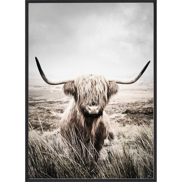 Nature Highland Cattle Poster 50x70 cm-Poster-Estancia-peaceofhome.se