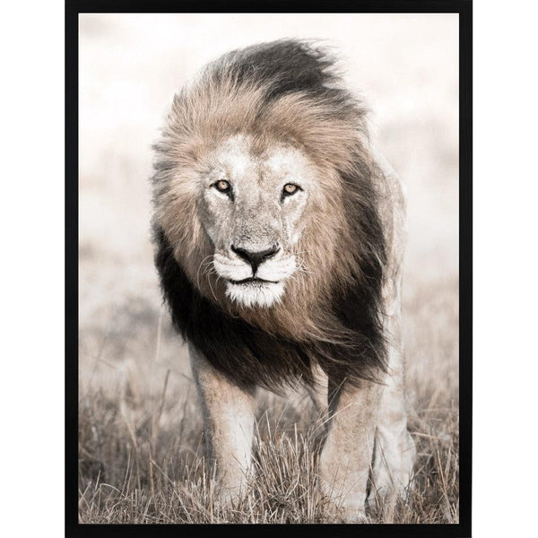 Nature Lion Face Poster 50x70 cm-Poster-Estancia-peaceofhome.se