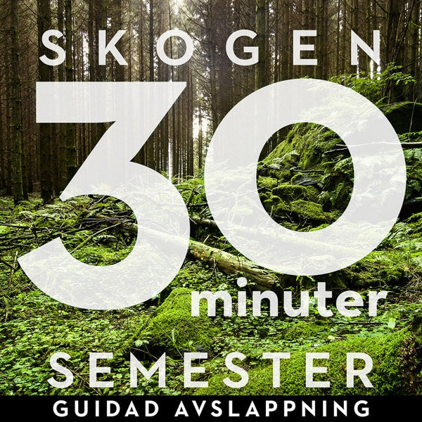 30 minuter semester- SKOGEN – Ljudbok – Laddas ner-Digitala böcker-Axiell-peaceofhome.se