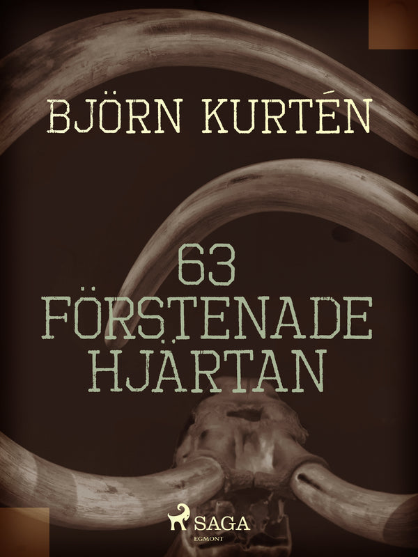 63 förstenade hjärtan – E-bok – Laddas ner
