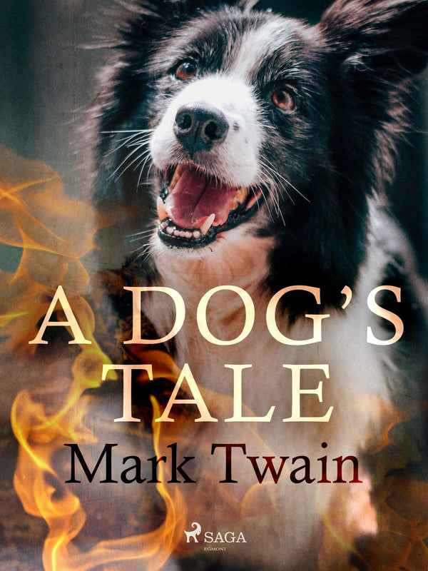 A Dog's Tale – E-bok – Laddas ner-Digitala böcker-Axiell-peaceofhome.se