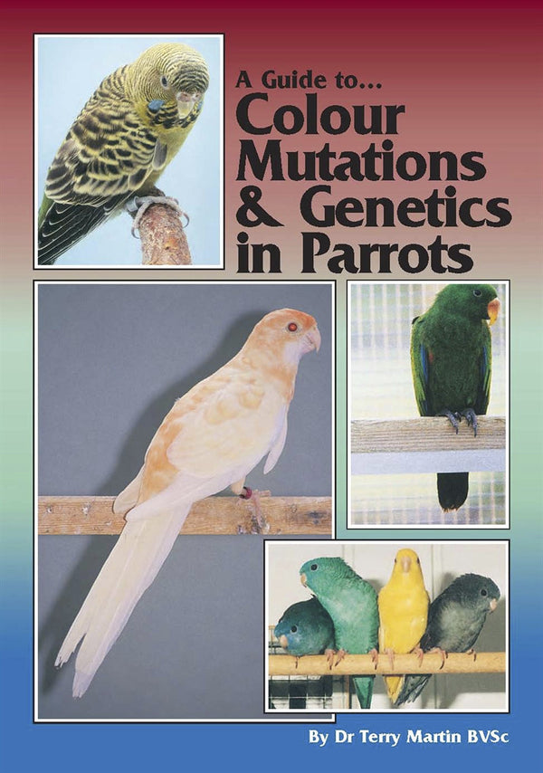 A Guide to Colour Mutations and Genetics in Parrots – E-bok – Laddas ner-Digitala böcker-Axiell-peaceofhome.se