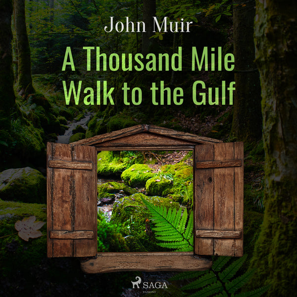 A Thousand Mile Walk to the Gulf – Ljudbok – Laddas ner-Digitala böcker-Axiell-peaceofhome.se