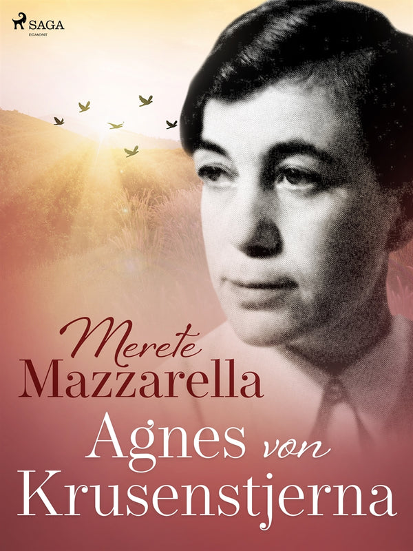 Agnes von Krusenstjerna – E-bok – Laddas ner