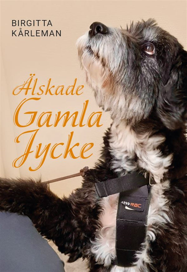 Älskade gamla jycke – E-bok – Laddas ner-Digitala böcker-Axiell-peaceofhome.se