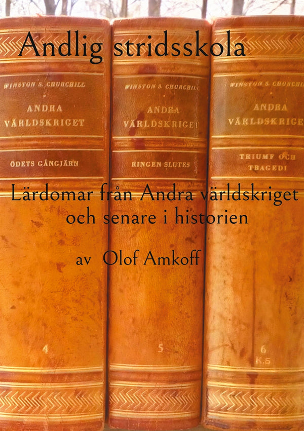 Andlig stridsskola: Lärdomar från Andra världskriget och senare i historien. – E-bok – Laddas ner-Digitala böcker-Axiell-peaceofhome.se