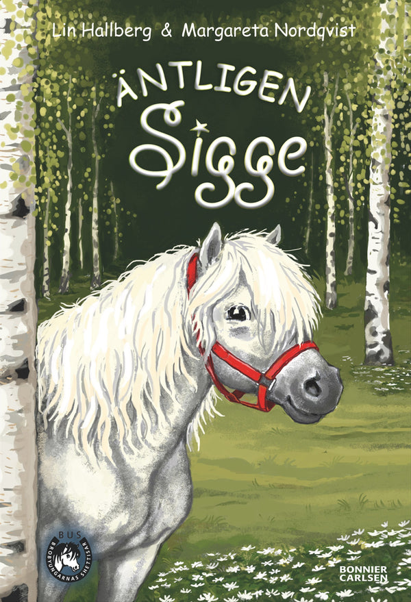 Äntligen Sigge – E-bok – Laddas ner-Digitala böcker-Axiell-peaceofhome.se