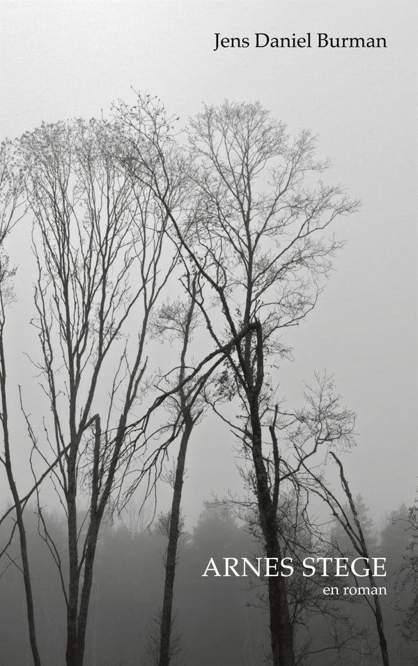 Arnes stege: Roman – E-bok – Laddas ner-Digitala böcker-Axiell-peaceofhome.se