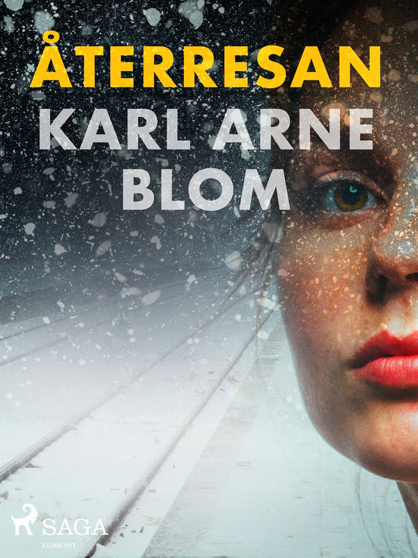 Återresan – E-bok – Laddas ner-Digitala böcker-Axiell-peaceofhome.se