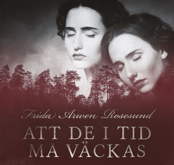 Att de i tid må väckas – Ljudbok – Laddas ner-Digitala böcker-Axiell-peaceofhome.se