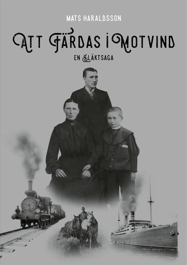 Att färdas i motvind – E-bok – Laddas ner-Digitala böcker-Axiell-peaceofhome.se