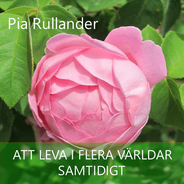 Att leva i flera världar - samtidigt – Ljudbok – Laddas ner-Digitala böcker-Axiell-peaceofhome.se