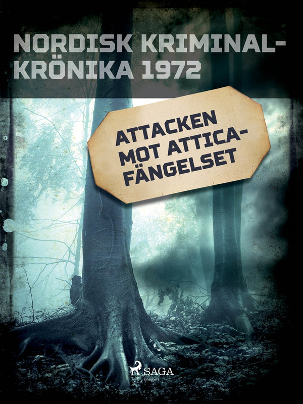 Attacken mot Atticafängelset – E-bok – Laddas ner-Digitala böcker-Axiell-peaceofhome.se