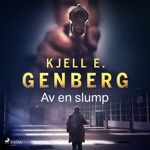 Av en slump – Ljudbok – Laddas ner-Digitala böcker-Axiell-peaceofhome.se