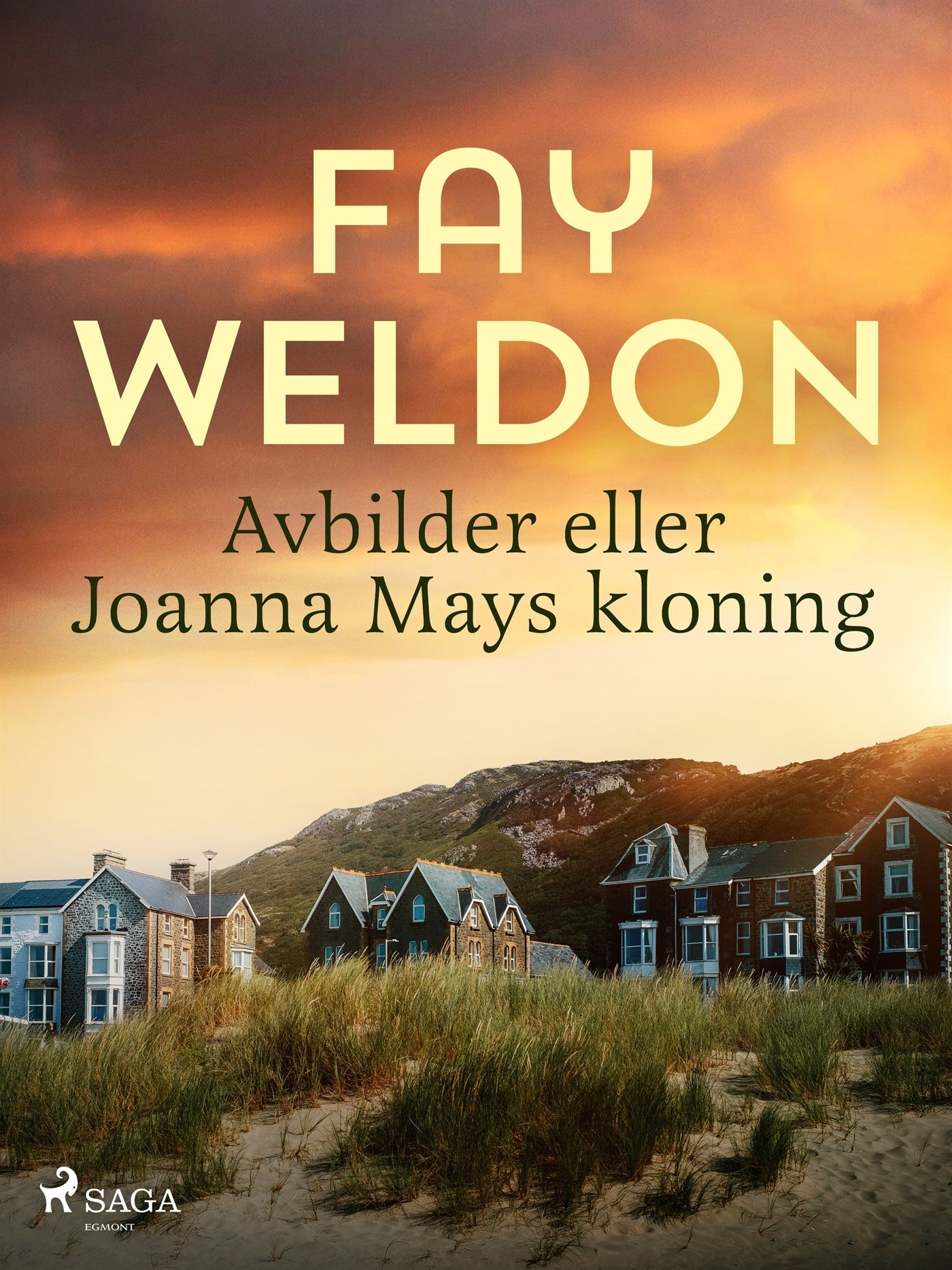 Avbilder eller Joanna Mays kloning – E-bok – Laddas ner-Digitala böcker-Axiell-peaceofhome.se