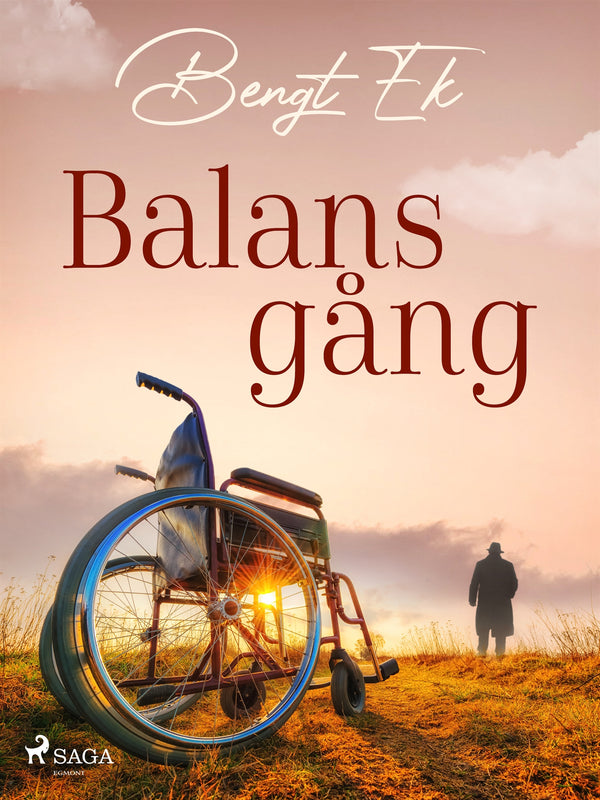 Balansgång – E-bok – Laddas ner-Digitala böcker-Axiell-peaceofhome.se