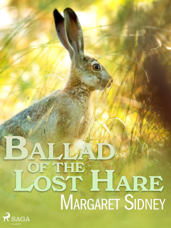 Ballad of the Lost Hare – E-bok – Laddas ner-Digitala böcker-Axiell-peaceofhome.se