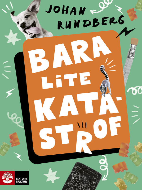 Bara lite katastrof - Digital - Laddas ner-Digitala böcker-Natur & Kultur Digital-peaceofhome.se