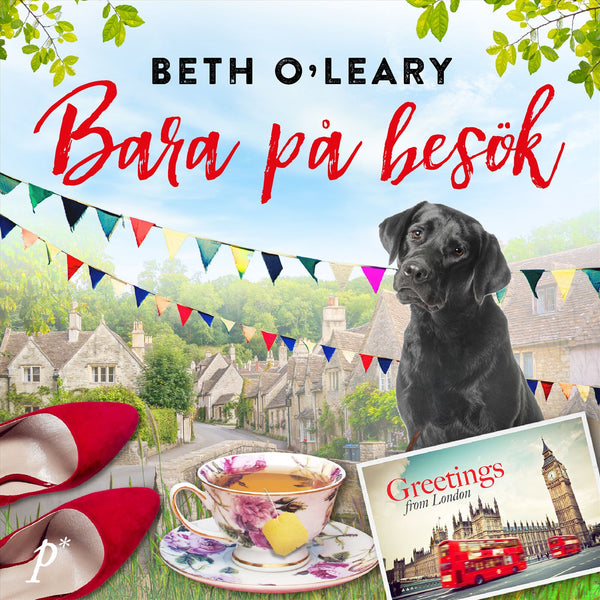 Bara på besök – Ljudbok – Laddas ner-Digitala böcker-Axiell-peaceofhome.se