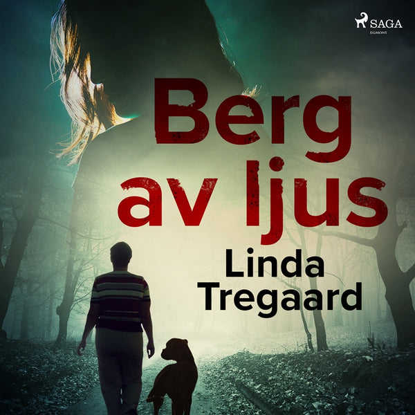 Berg av ljus – Ljudbok – Laddas ner-Digitala böcker-Axiell-peaceofhome.se