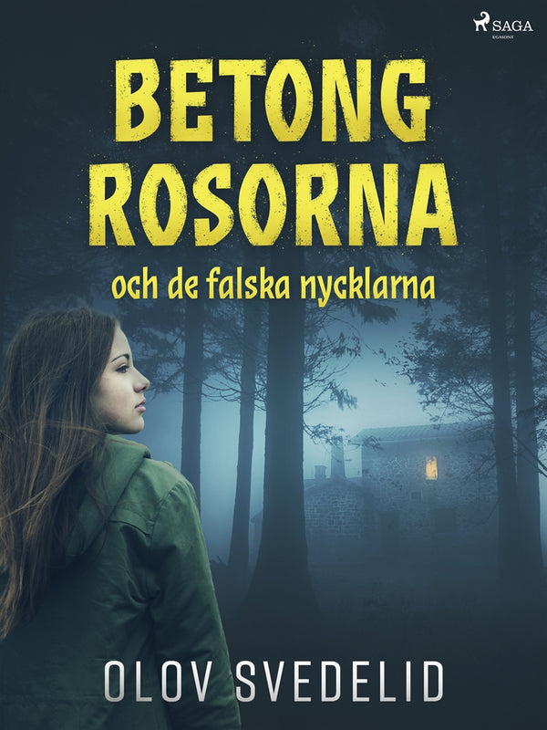 Betongrosorna och de falska nycklarna – E-bok – Laddas ner-Digitala böcker-Axiell-peaceofhome.se