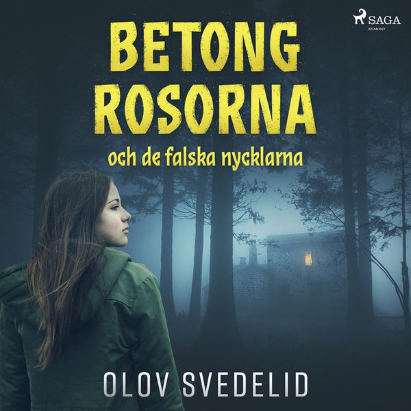 Betongrosorna och de falska nycklarna – Ljudbok – Laddas ner-Digitala böcker-Axiell-peaceofhome.se