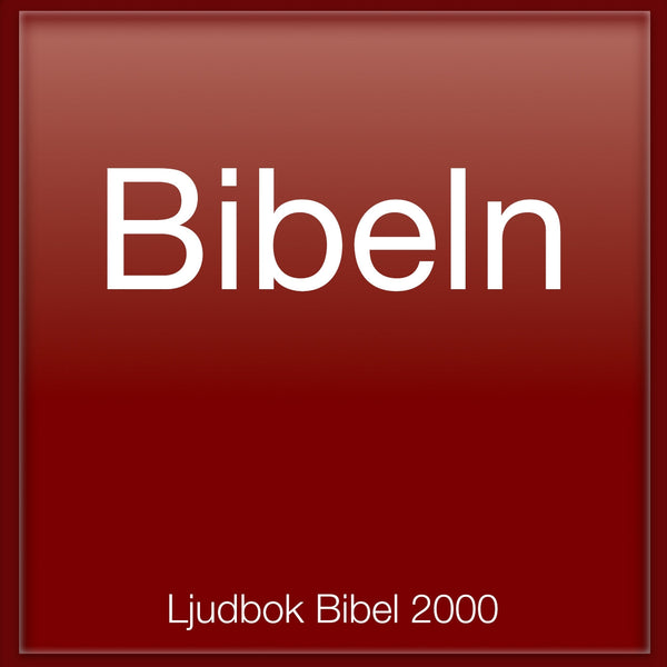 Bibeln som ljudbok (Bibel 2000) – Ljudbok – Laddas ner-Digitala böcker-Axiell-peaceofhome.se