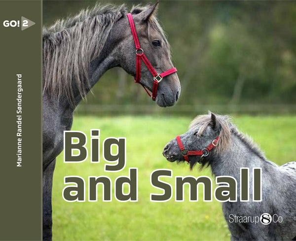 Big And Small – E-bok – Laddas ner-Digitala böcker-Axiell-peaceofhome.se