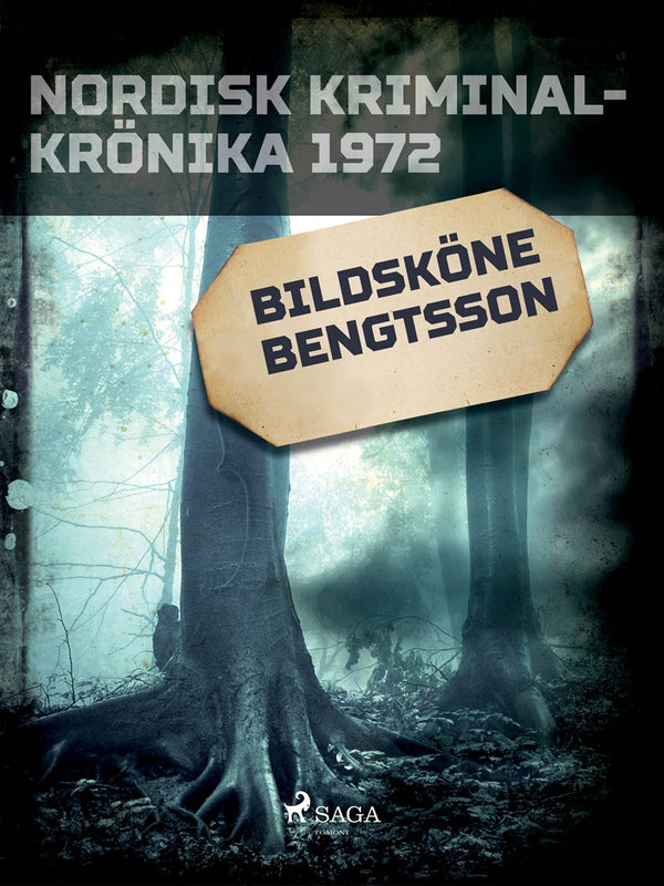 Bildsköne Bengtsson – E-bok – Laddas ner-Digitala böcker-Axiell-peaceofhome.se