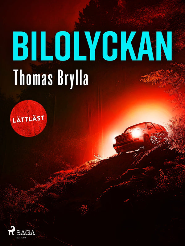 Bilolyckan – E-bok – Laddas ner-Digitala böcker-Axiell-peaceofhome.se