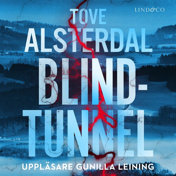 Blindtunnel – Ljudbok – Laddas ner-Digitala böcker-Axiell-peaceofhome.se