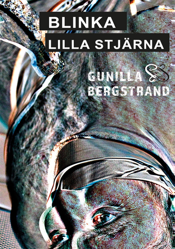 Blinka Lilla Stjärna – E-bok – Laddas ner-Digitala böcker-Axiell-peaceofhome.se