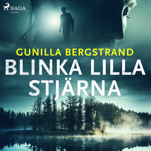 Blinka lilla stjärna – Ljudbok – Laddas ner-Digitala böcker-Axiell-peaceofhome.se
