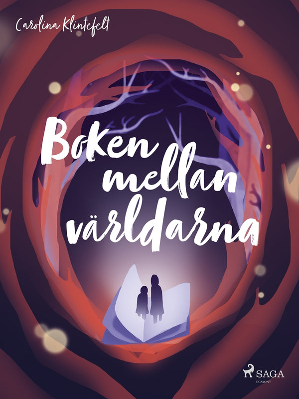 Boken mellan världarna – E-bok – Laddas ner-Digitala böcker-Axiell-peaceofhome.se