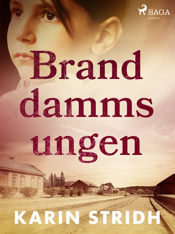 Branddammsungen – E-bok – Laddas ner-Digitala böcker-Axiell-peaceofhome.se