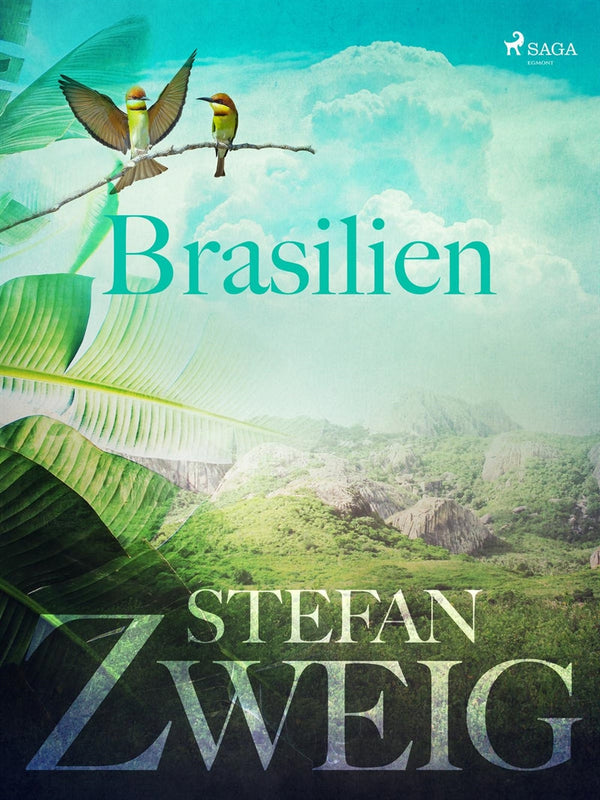 Brasilien – E-bok – Laddas ner-Digitala böcker-Axiell-peaceofhome.se