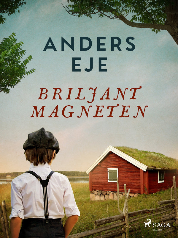 Briljantmagneten – E-bok – Laddas ner-Digitala böcker-Axiell-peaceofhome.se