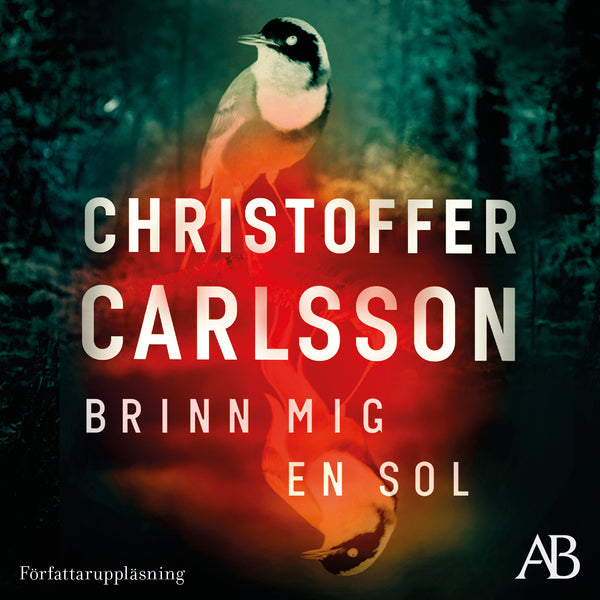 Brinn mig en sol – Ljudbok – Laddas ner-Digitala böcker-Axiell-peaceofhome.se