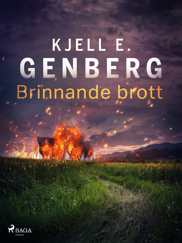 Brinnande brott – E-bok – Laddas ner-Digitala böcker-Axiell-peaceofhome.se