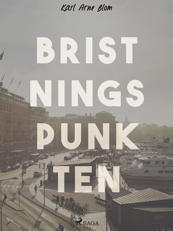 Bristningspunkten – E-bok – Laddas ner-Digitala böcker-Axiell-peaceofhome.se