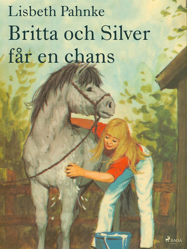 Britta och Silver får en chans – E-bok – Laddas ner-Digitala böcker-Axiell-peaceofhome.se