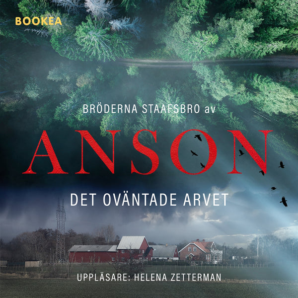 Bröderna Staafsbro: Det oväntade arvet – E-bok – Laddas ner-Digitala böcker-Axiell-peaceofhome.se