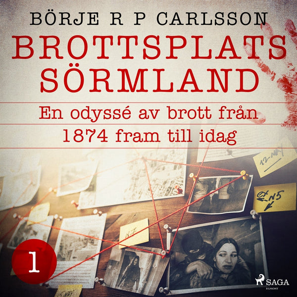 Brottsplats Sörmland. 1, En odyssé av brott från 1874 fram till idag – Ljudbok – Laddas ner-Digitala böcker-Axiell-peaceofhome.se