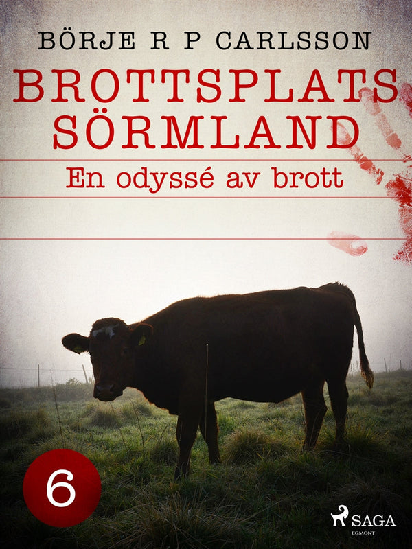 Brottsplats Sörmland. 6, En odyssé av brott – E-bok – Laddas ner-Digitala böcker-Axiell-peaceofhome.se