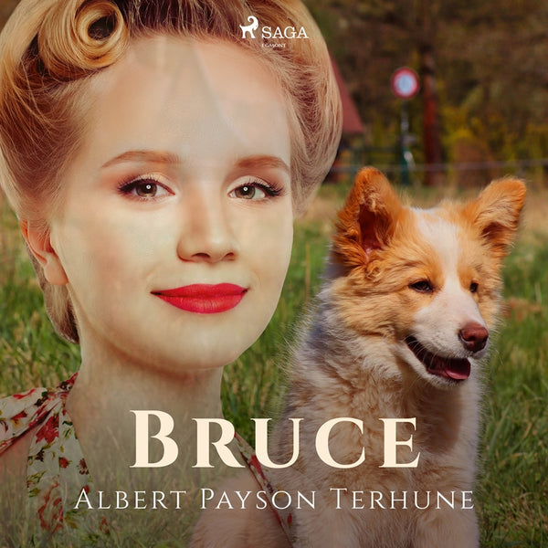 Bruce – Ljudbok – Laddas ner-Digitala böcker-Axiell-peaceofhome.se
