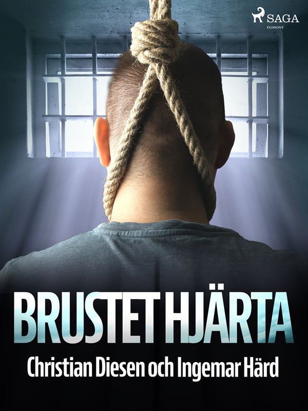 Brustet hjärta – E-bok – Laddas ner-Digitala böcker-Axiell-peaceofhome.se