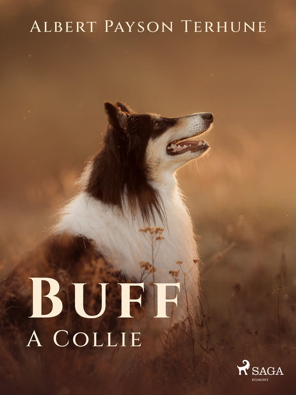 Buff: A Collie – E-bok – Laddas ner-Digitala böcker-Axiell-peaceofhome.se